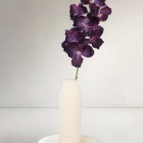 Orchid, Dark