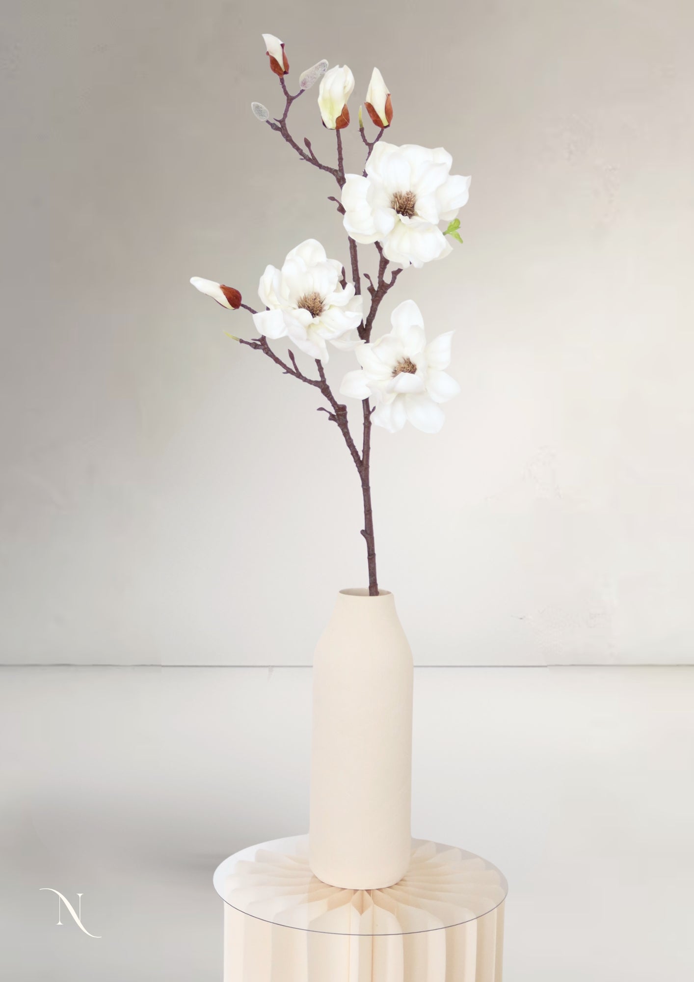Magnolia Branch, White