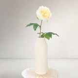 Peony, Light Rose