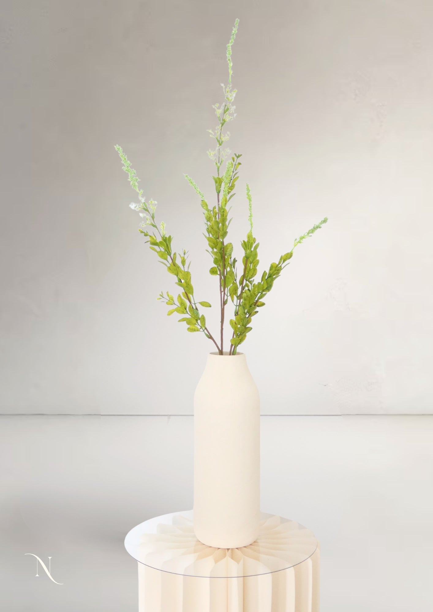 Flower Fern