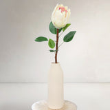King Protea, White