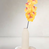 Orchid, Dark